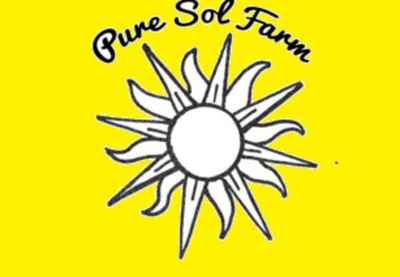 Pure_sol_farm_yellow