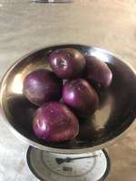 Potatoes__purple