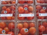 10.05.02_cherry_tomatoes_001
