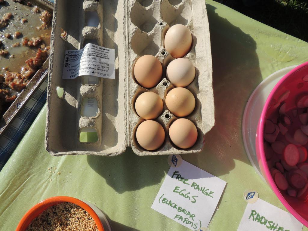 Photo__athens_food_tours_visiting_blackbriar.....best_eggs_in_the_known_universe