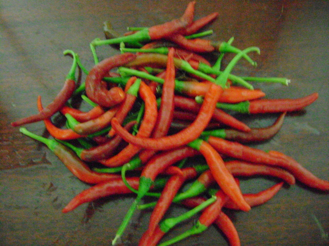 Red+thai+pepper