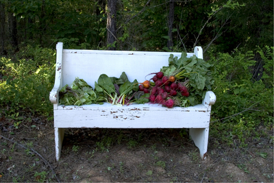 Bench_and_beets